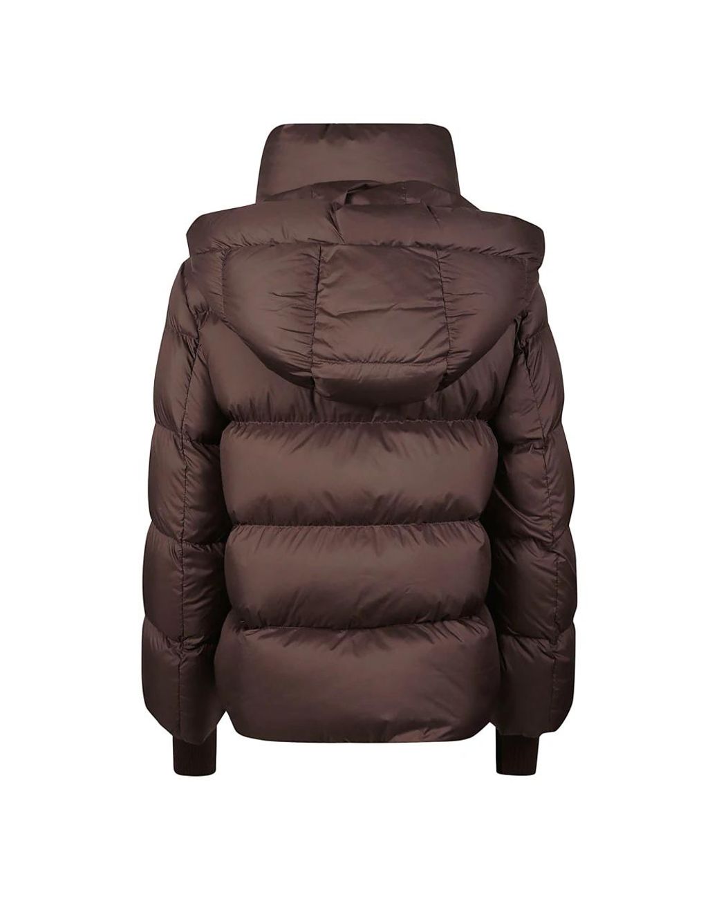 Winter Jackets Add de color Brown