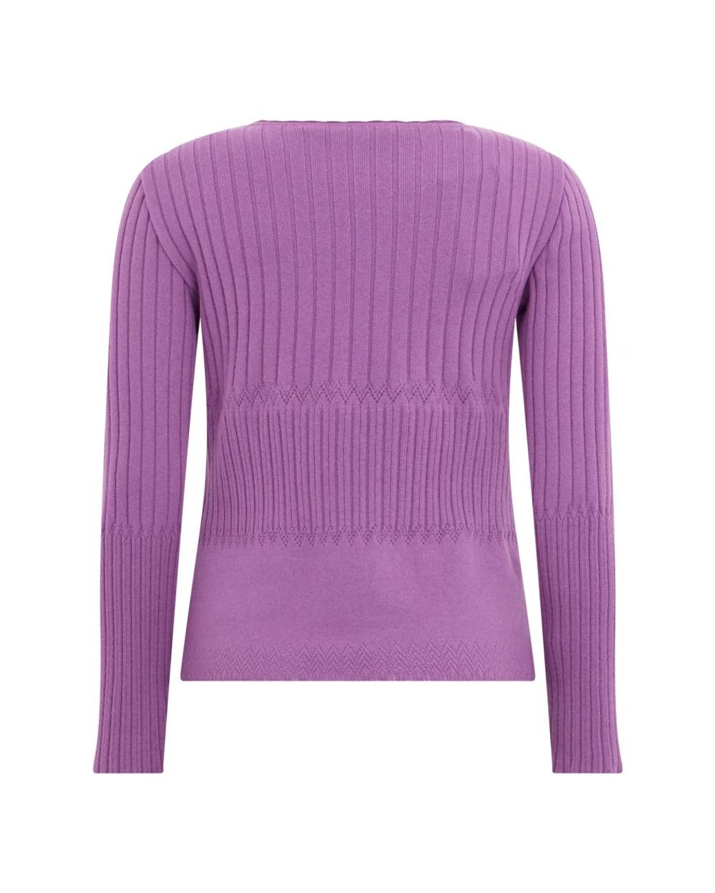 Alberta Ferretti Purple Round-Neck Knitwear