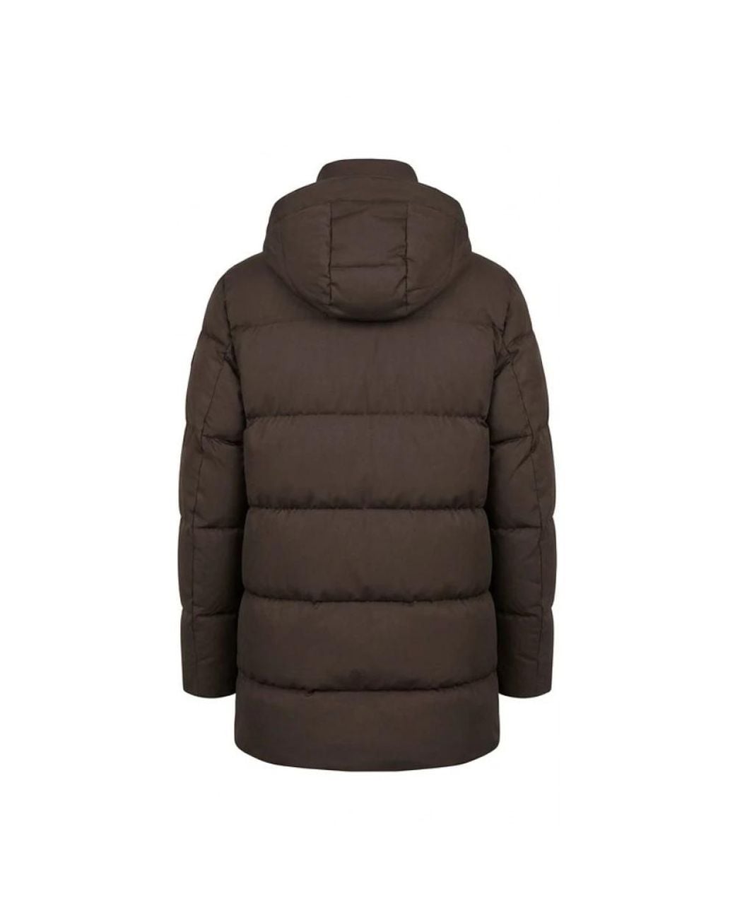 Winter Jackets Paul & Shark pour homme en coloris Brown