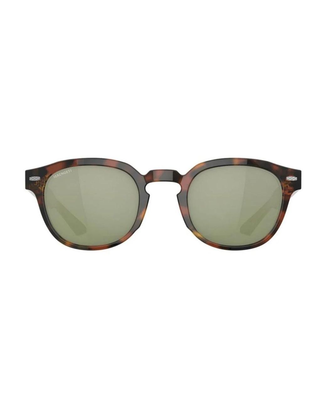 Serengeti Brown Sunglasses