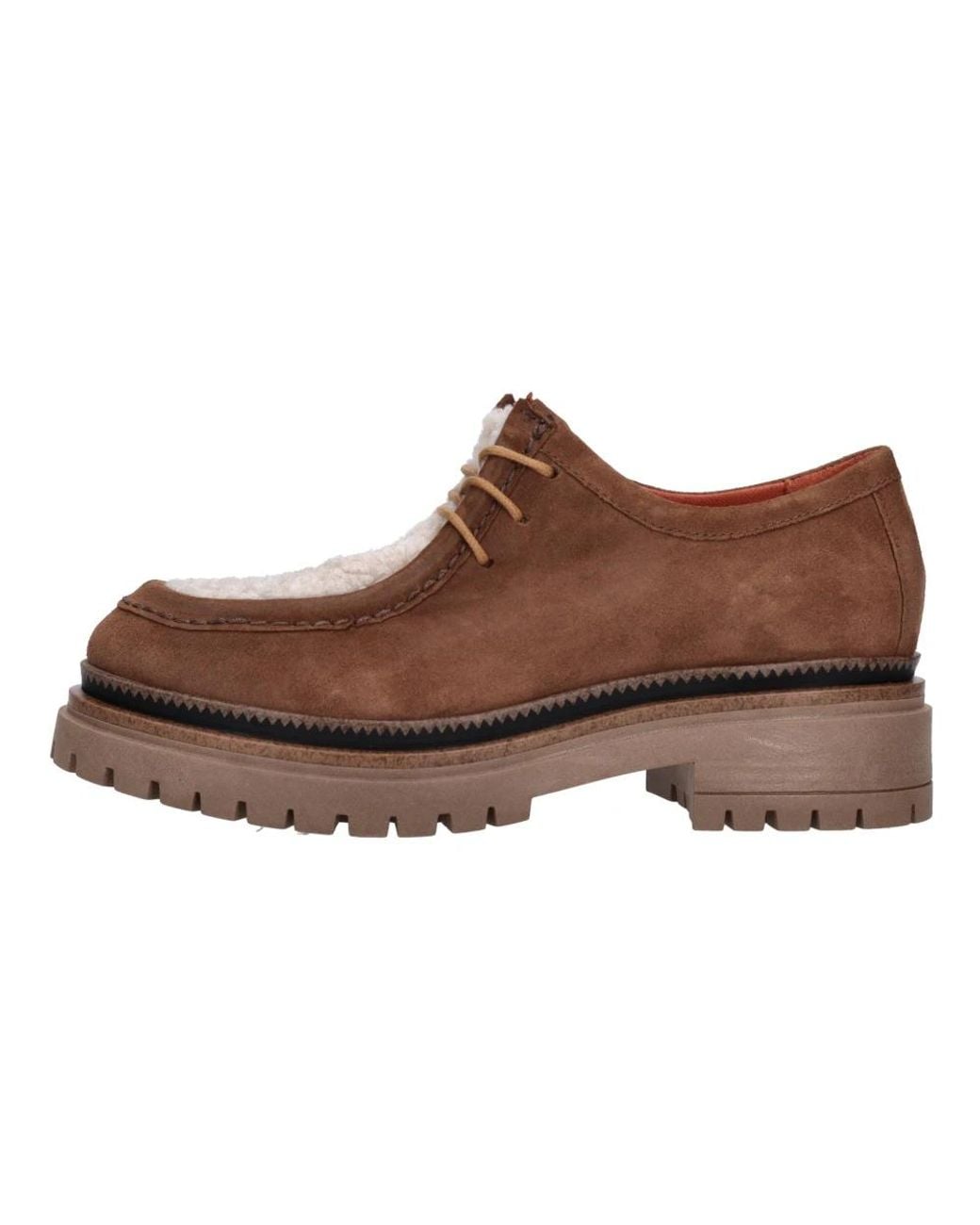 Mjus Brown Laced Shoes