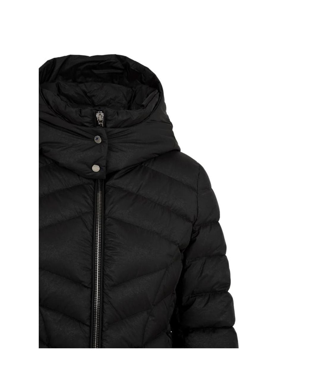Moorer Black Down Jackets