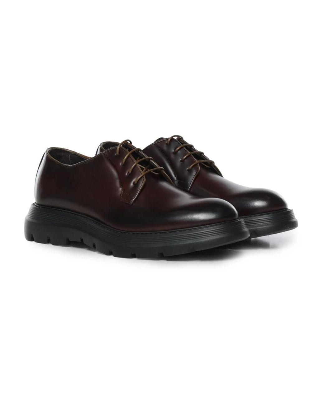 Giuliano Galiano Brown Laced Shoes for men