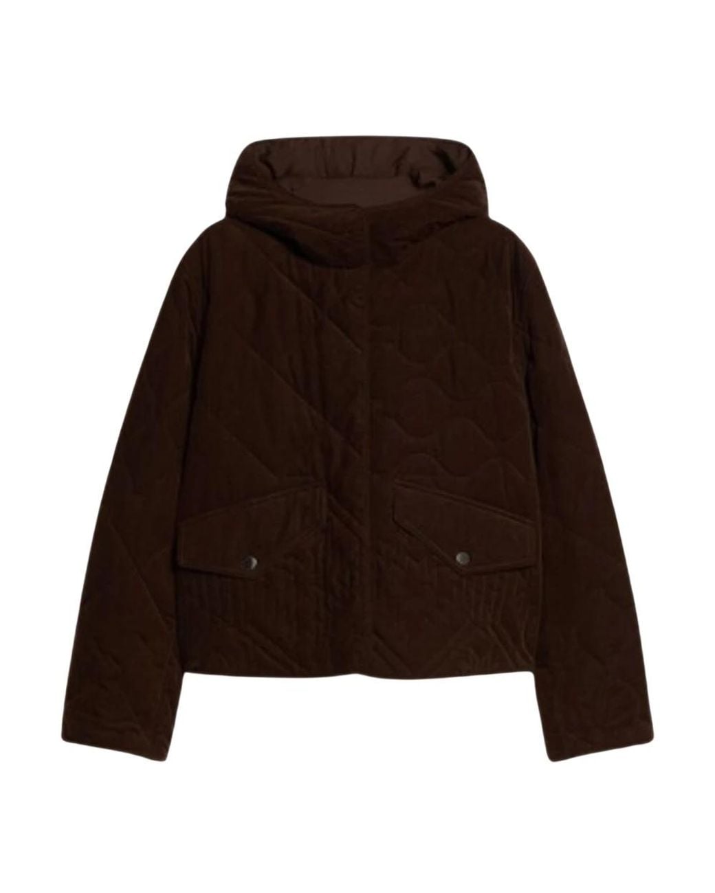 Pennyblack Brown Light Jackets