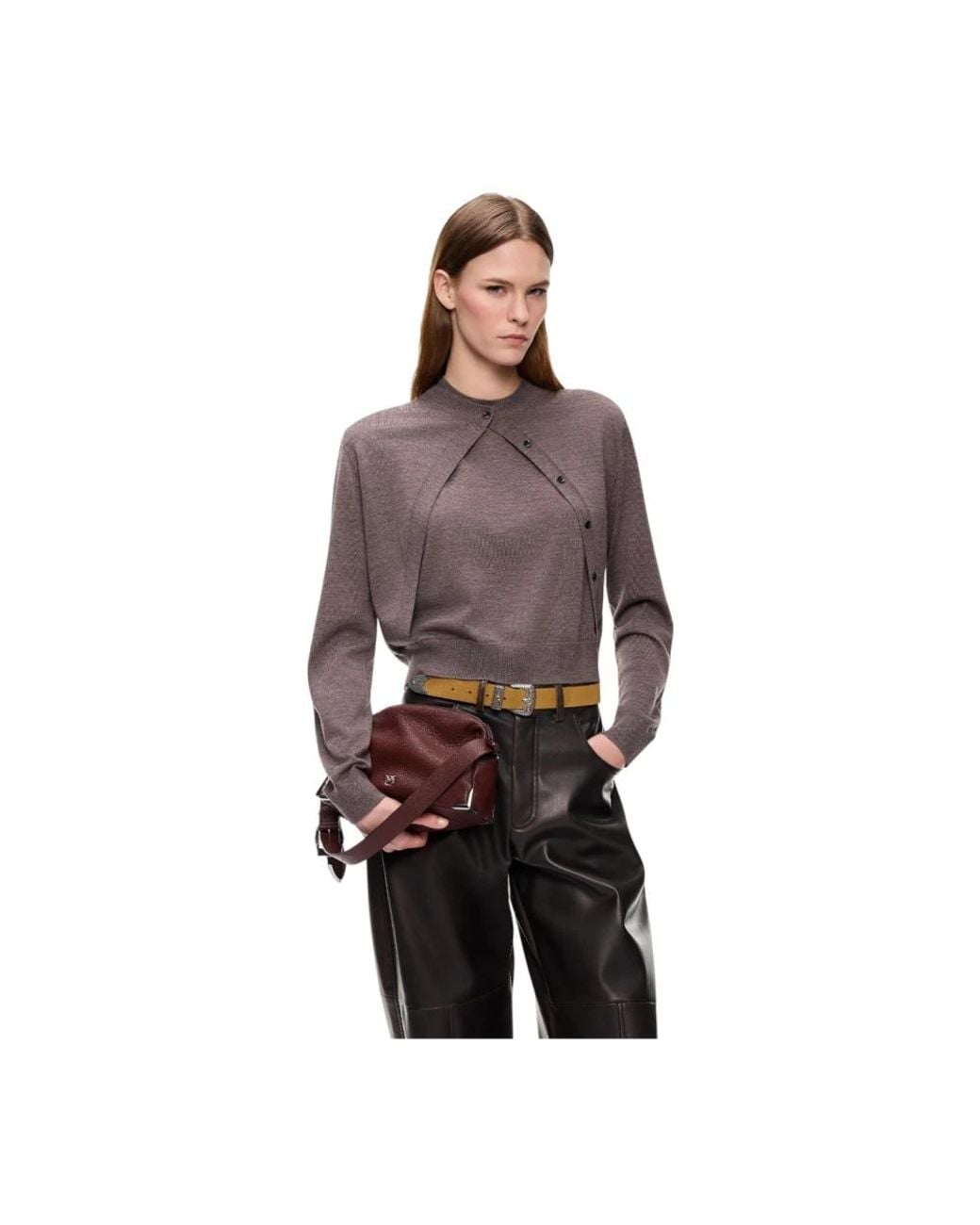 Pinko Brown Round-Neck Knitwear