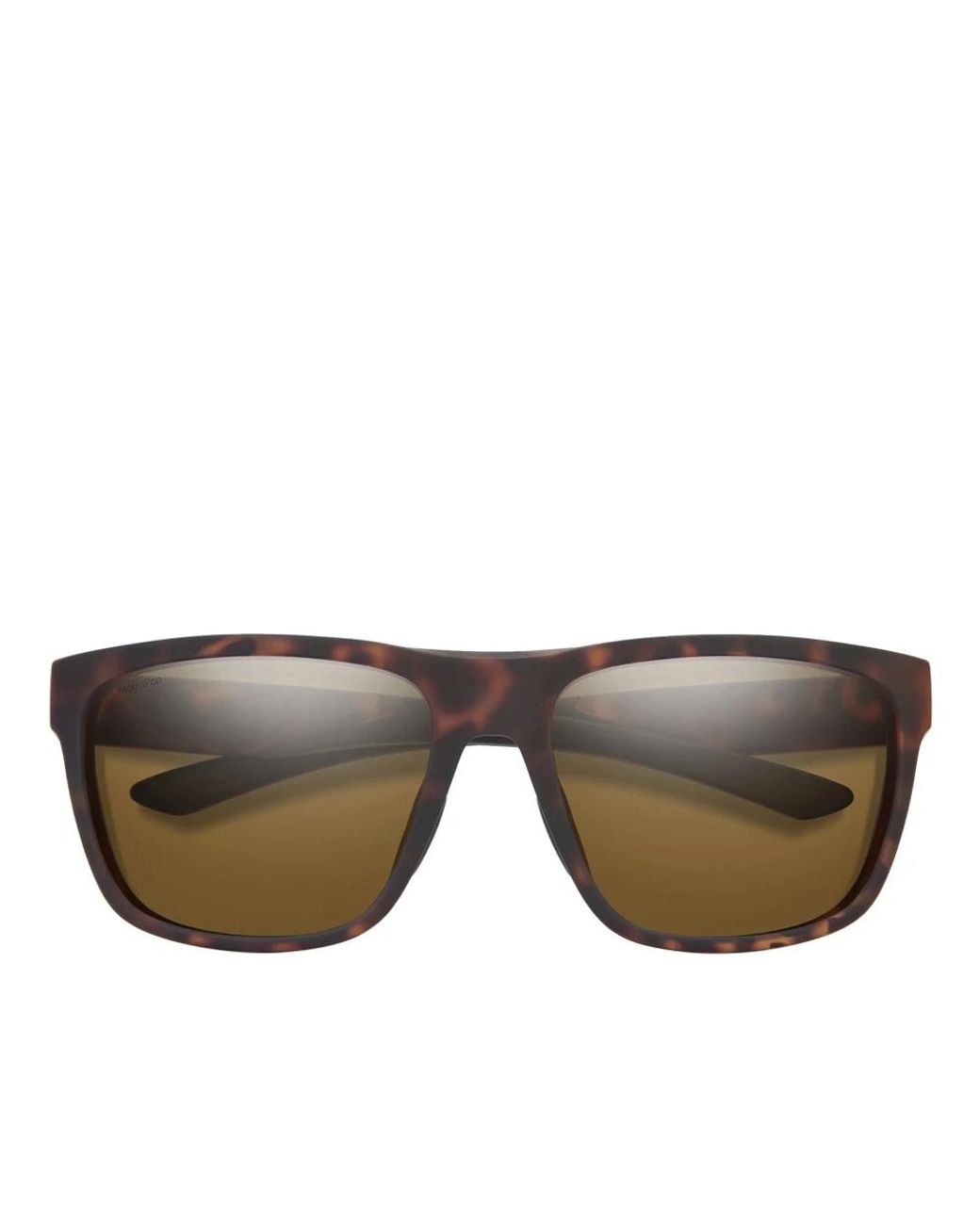 Smith Brown Sunglasses