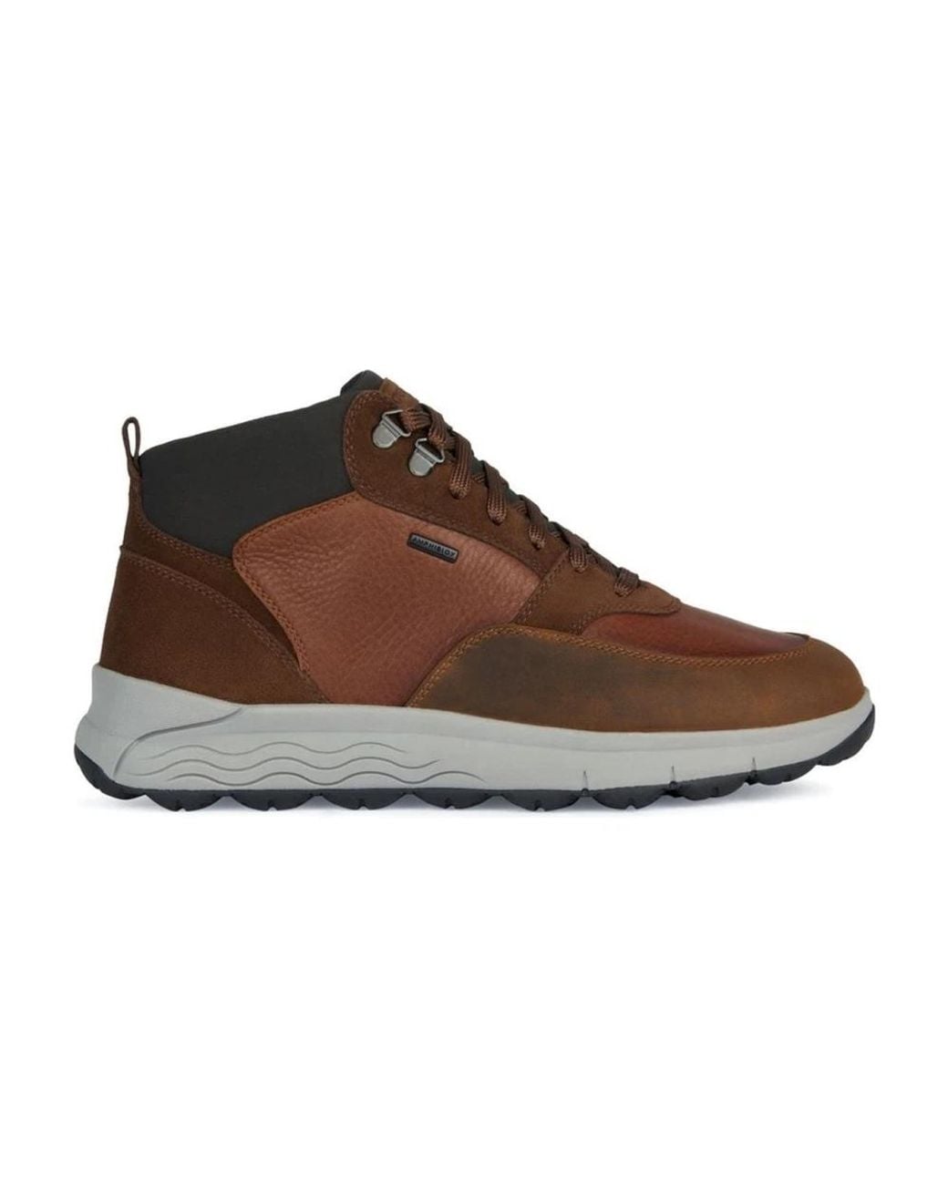 Geox Brown Sneakers for men