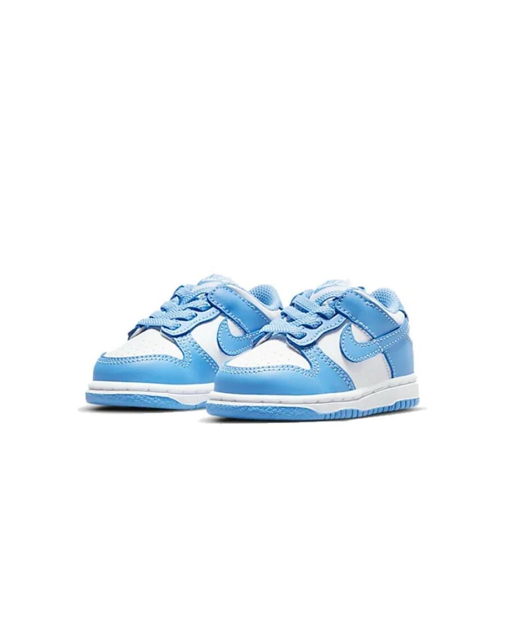 Nike Blue Dunk Low