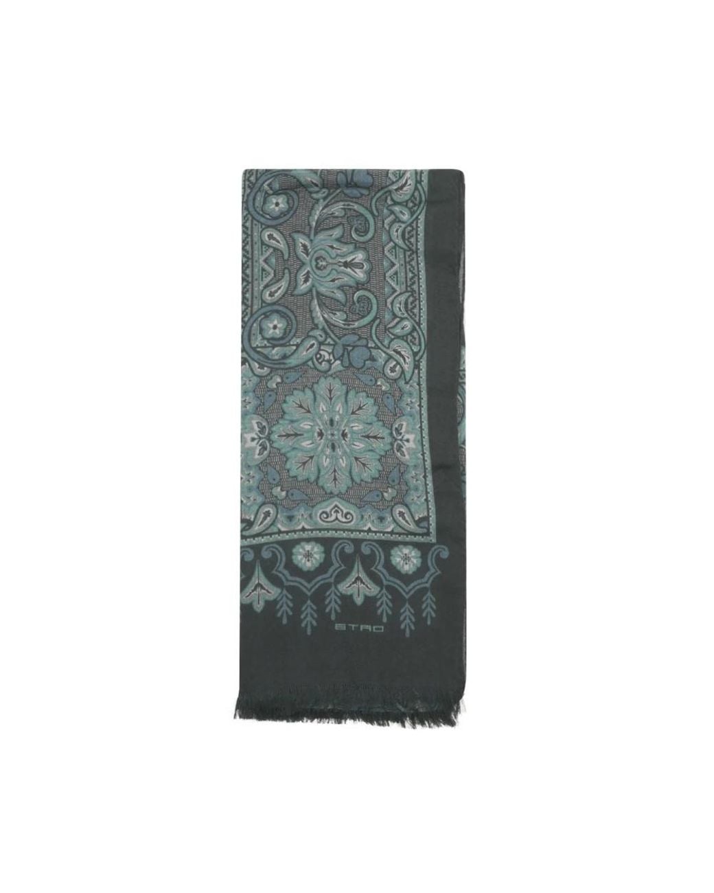 Etro Gray Scarves