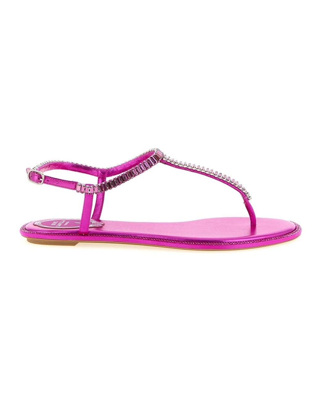 Rene Caovilla Purple Flat Sandals
