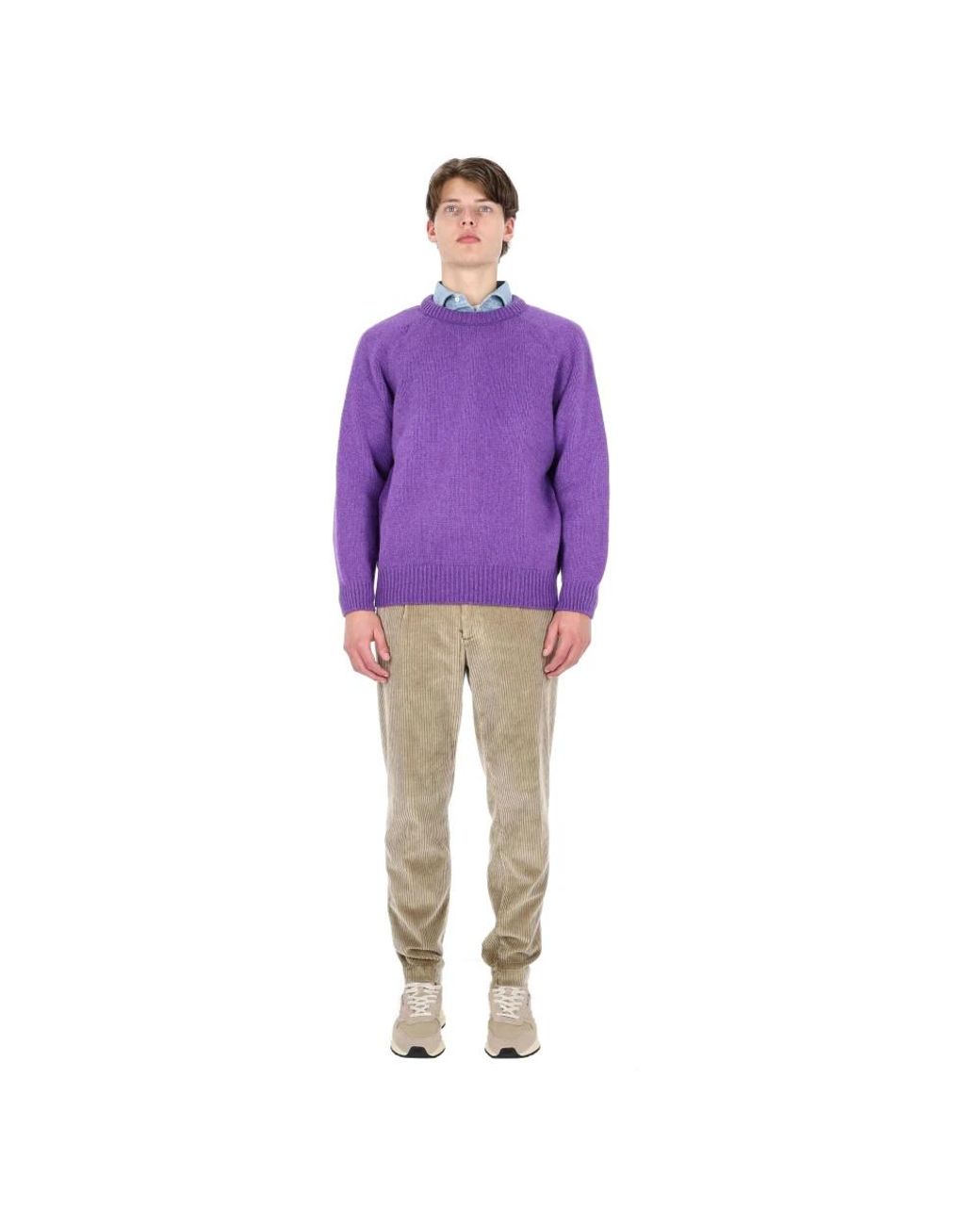 Howlin' By Morrison Purple Round-Neck Knitwear for men