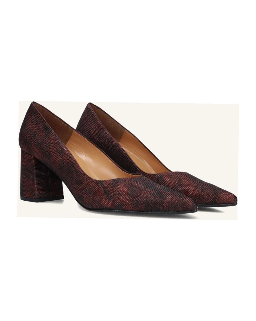 Notre-v Brown 2333C Pumps