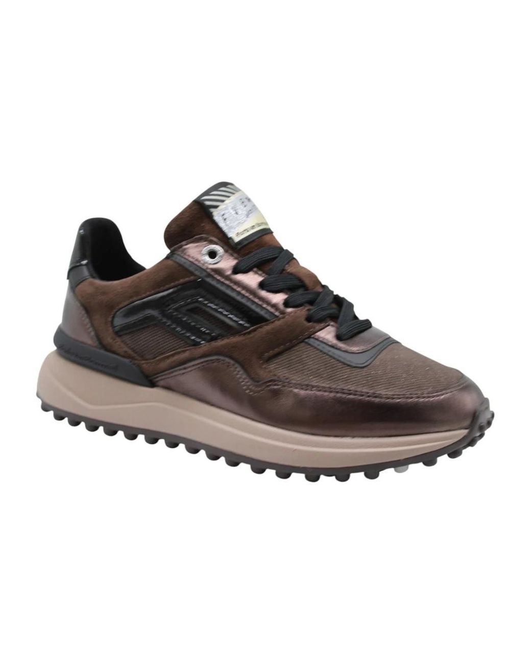 Sneakers Floris Van Bommel en coloris Brown