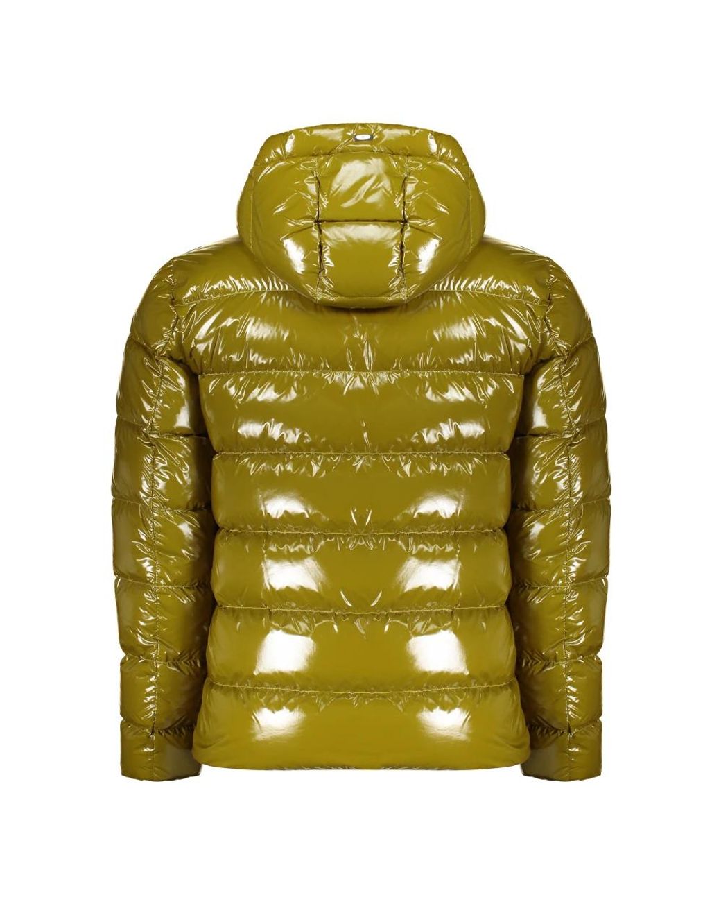 Down Jackets Herno de hombre de color Green