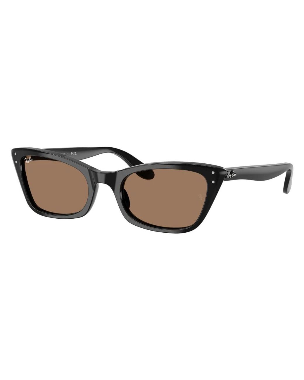 Ray-Ban Brown Sunglasses