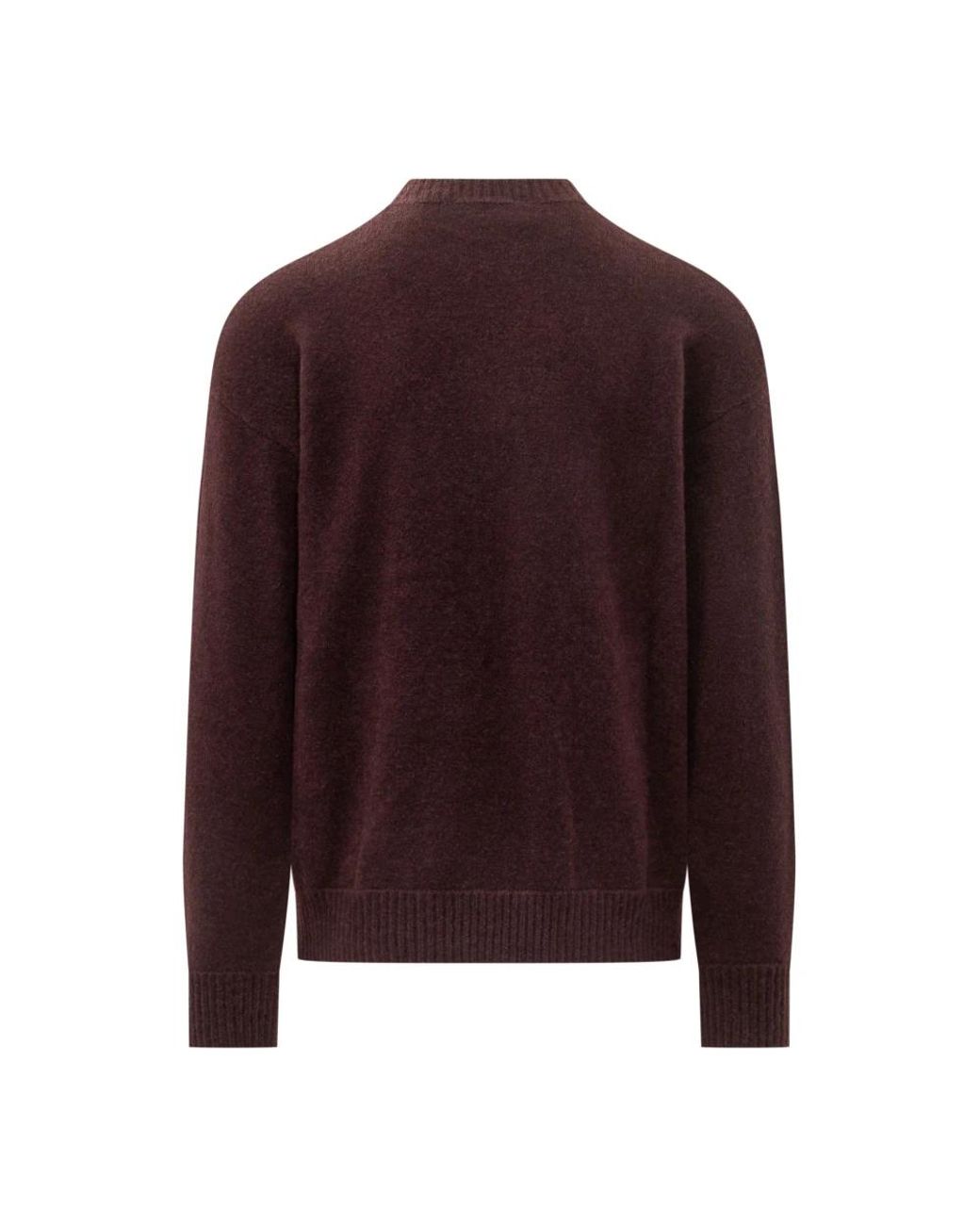 Laneus Purple Round-Neck Knitwear for men