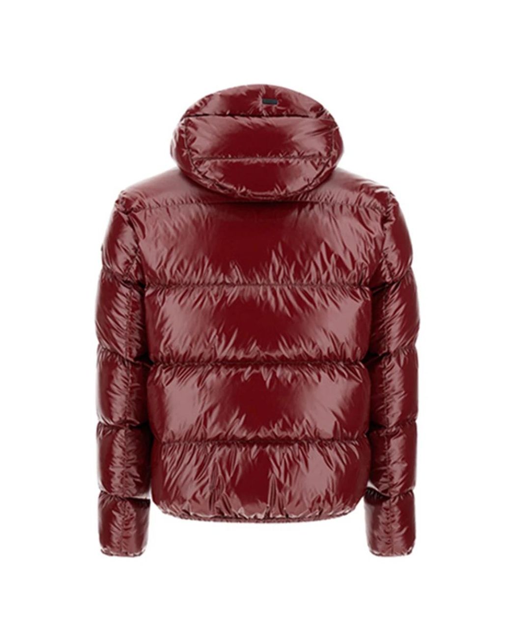 Herno Jassen ,Rood ,Bordeaux Piumino Jas in het Red voor heren