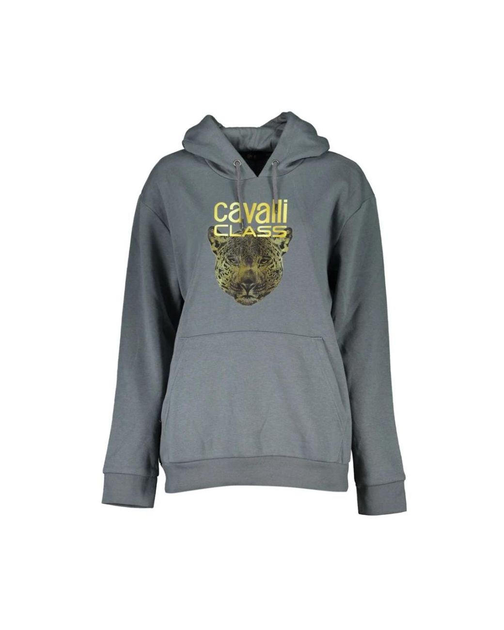 Roberto Cavalli Hoodies in het Gray