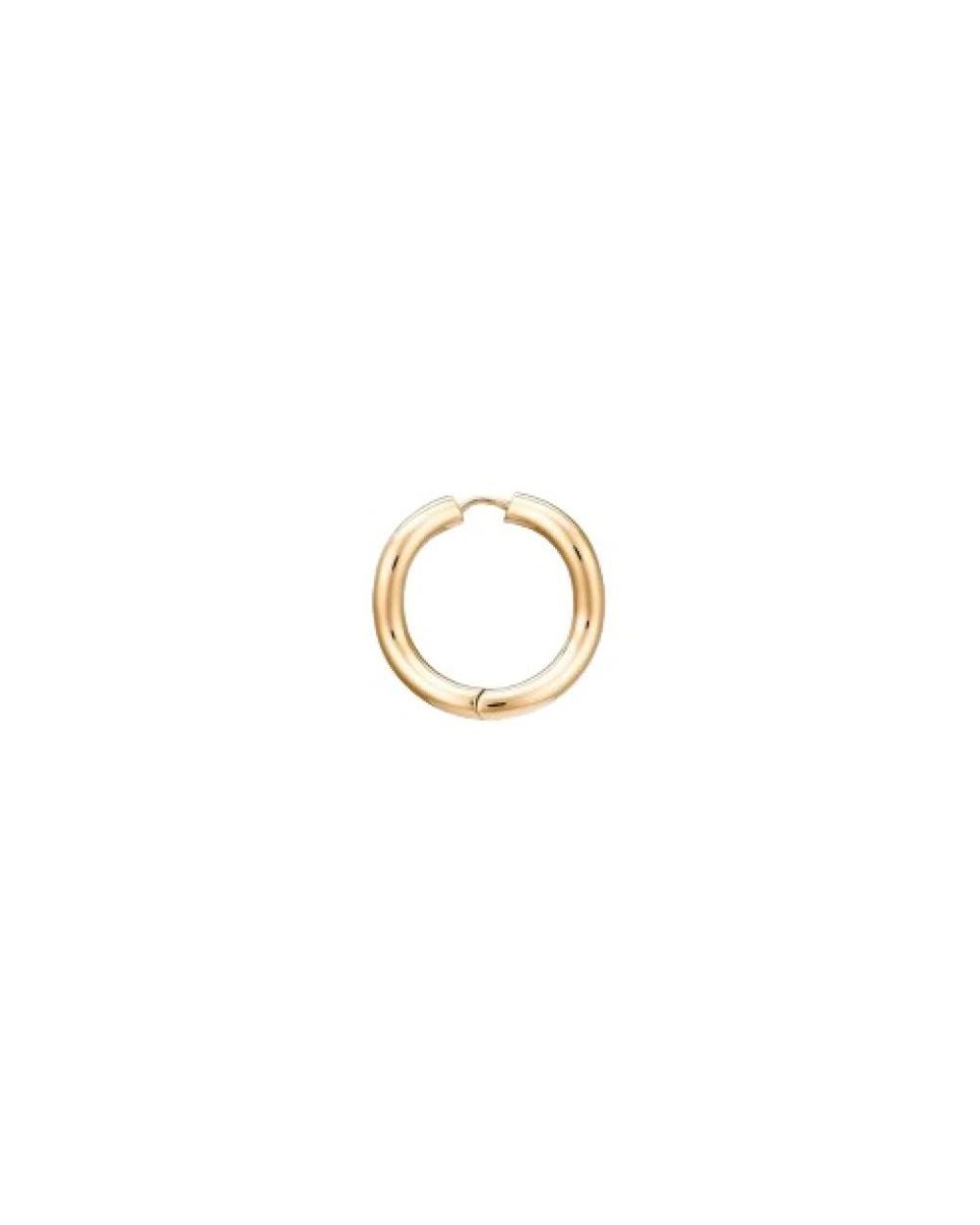 Charlotte Chesnais Metallic Earrings