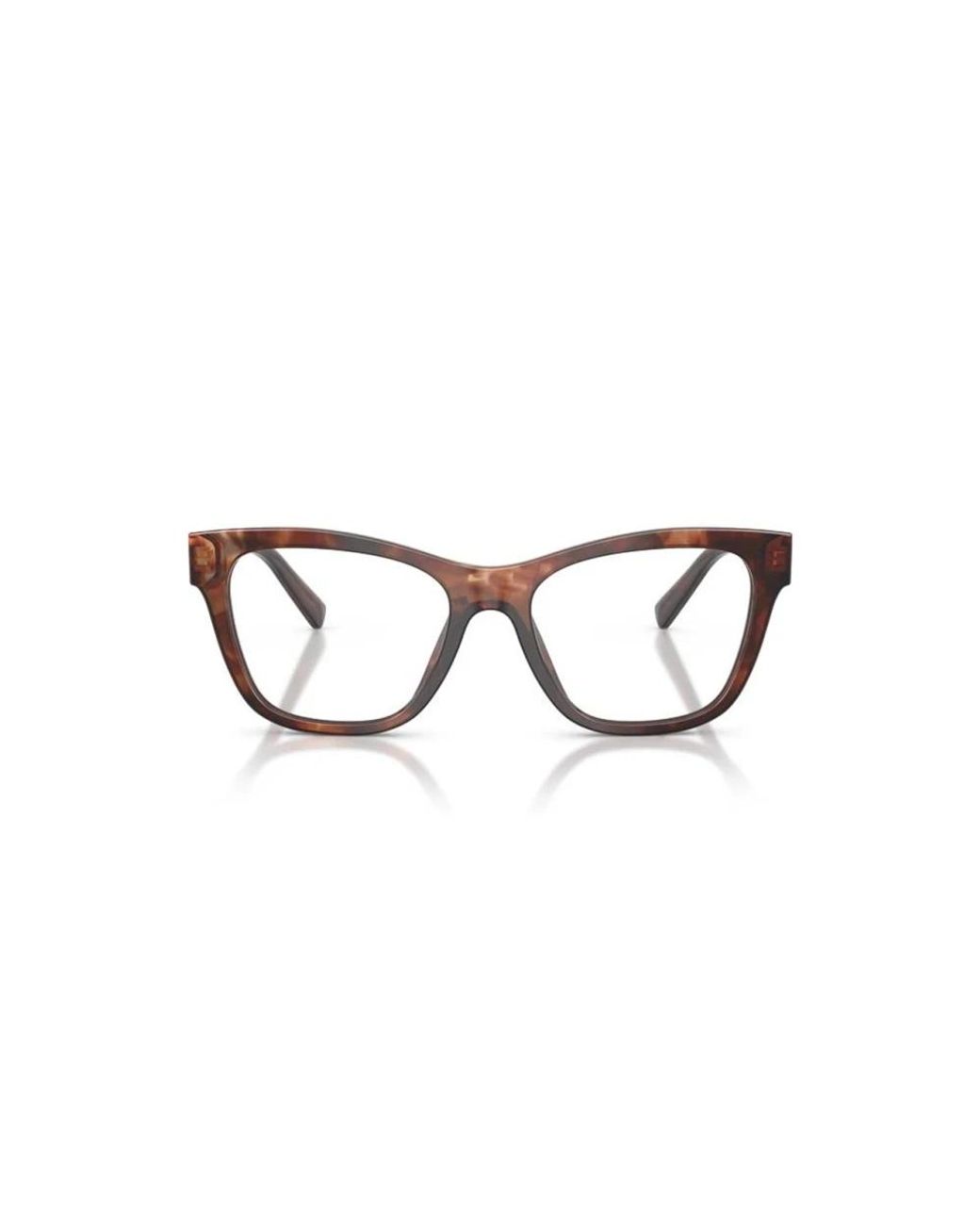 Dolce & Gabbana Brown Glasses