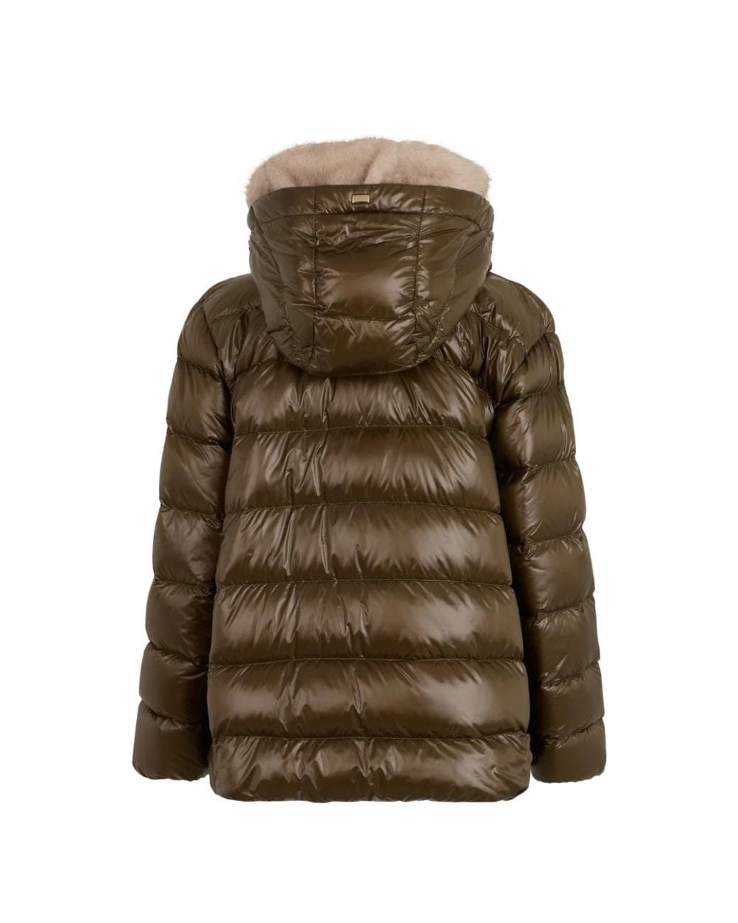 Winter Jackets Herno de color Green