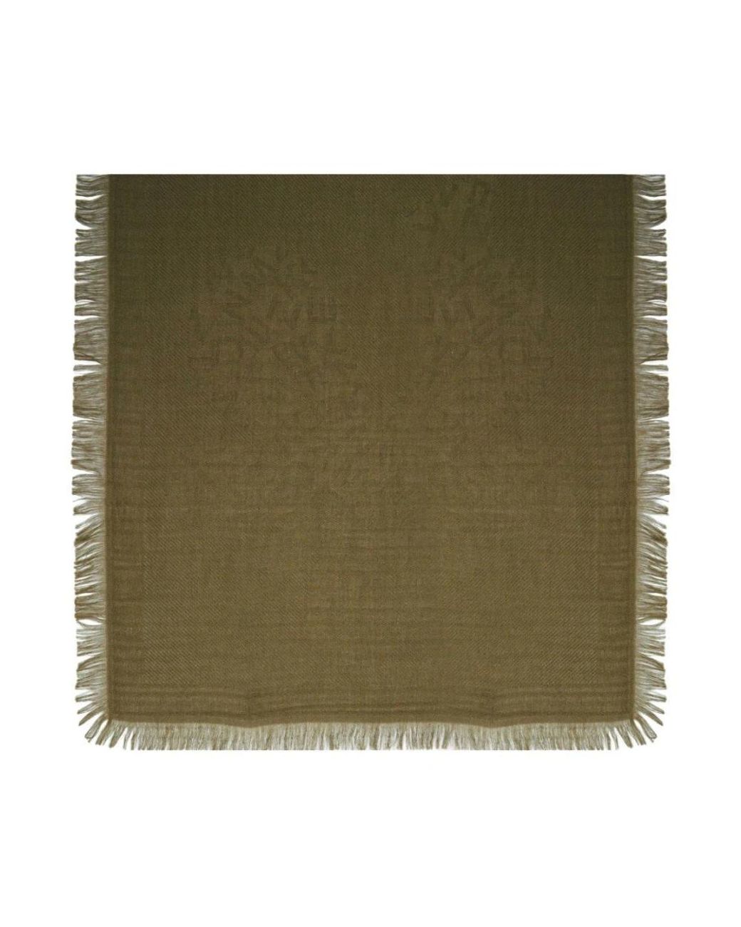 Weekend by Maxmara Green Winter Scarves