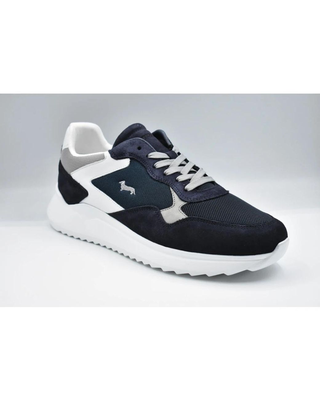 Harmont & Blaine Blue Sneakers for men