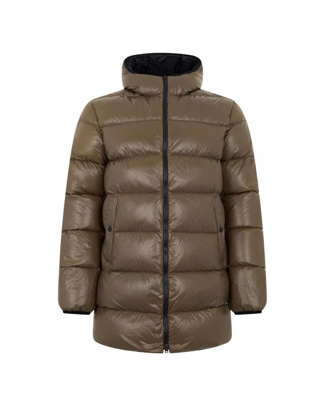 Herno Green Winter Jackets for men