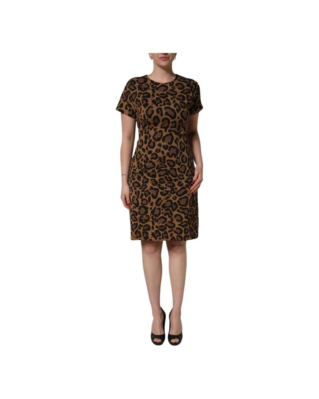 Dolce & Gabbana Brown Knitted Dresses