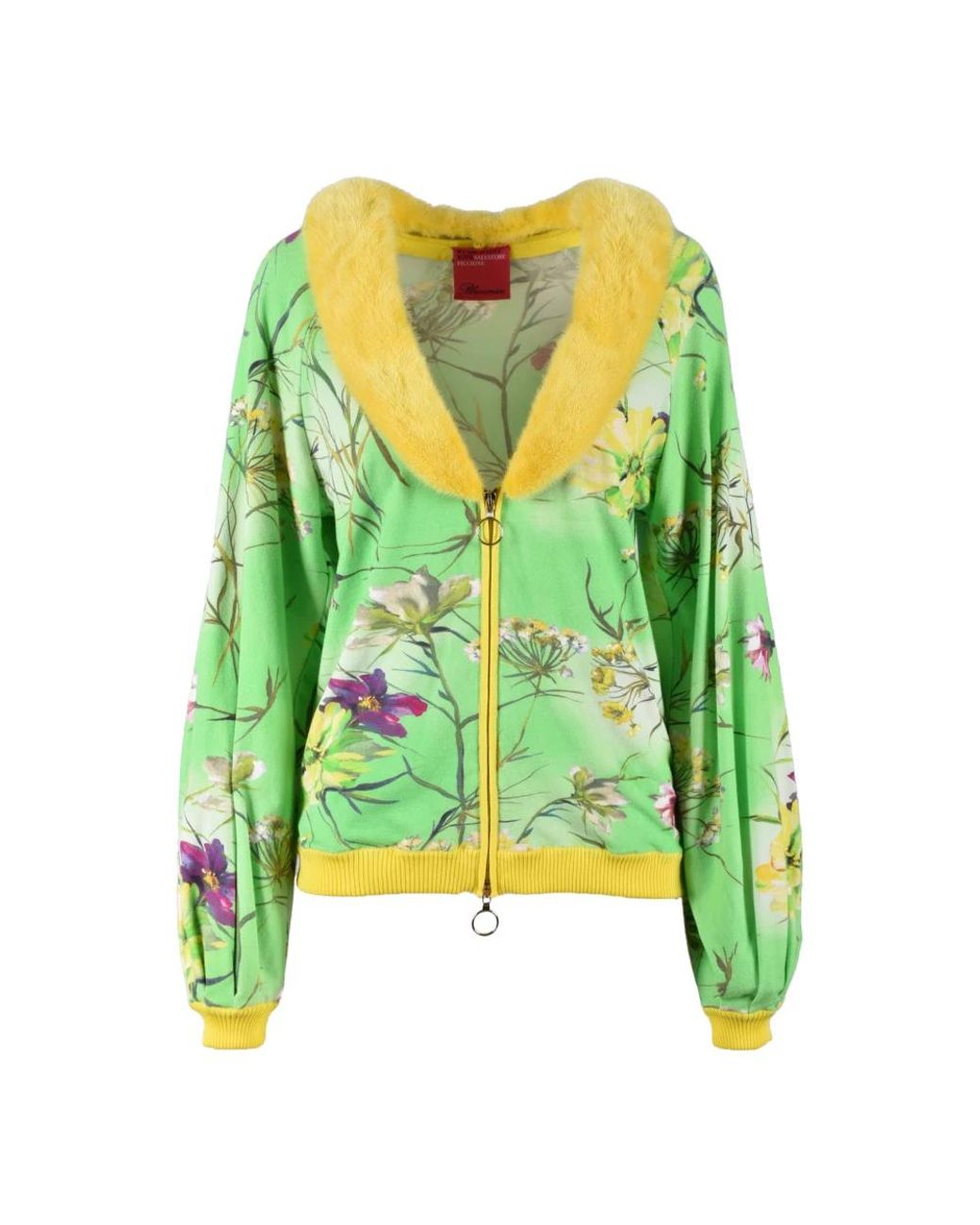 Blumarine Truien & Vesten ,Groen ,Salvatore Piccione Cardigan in het Green