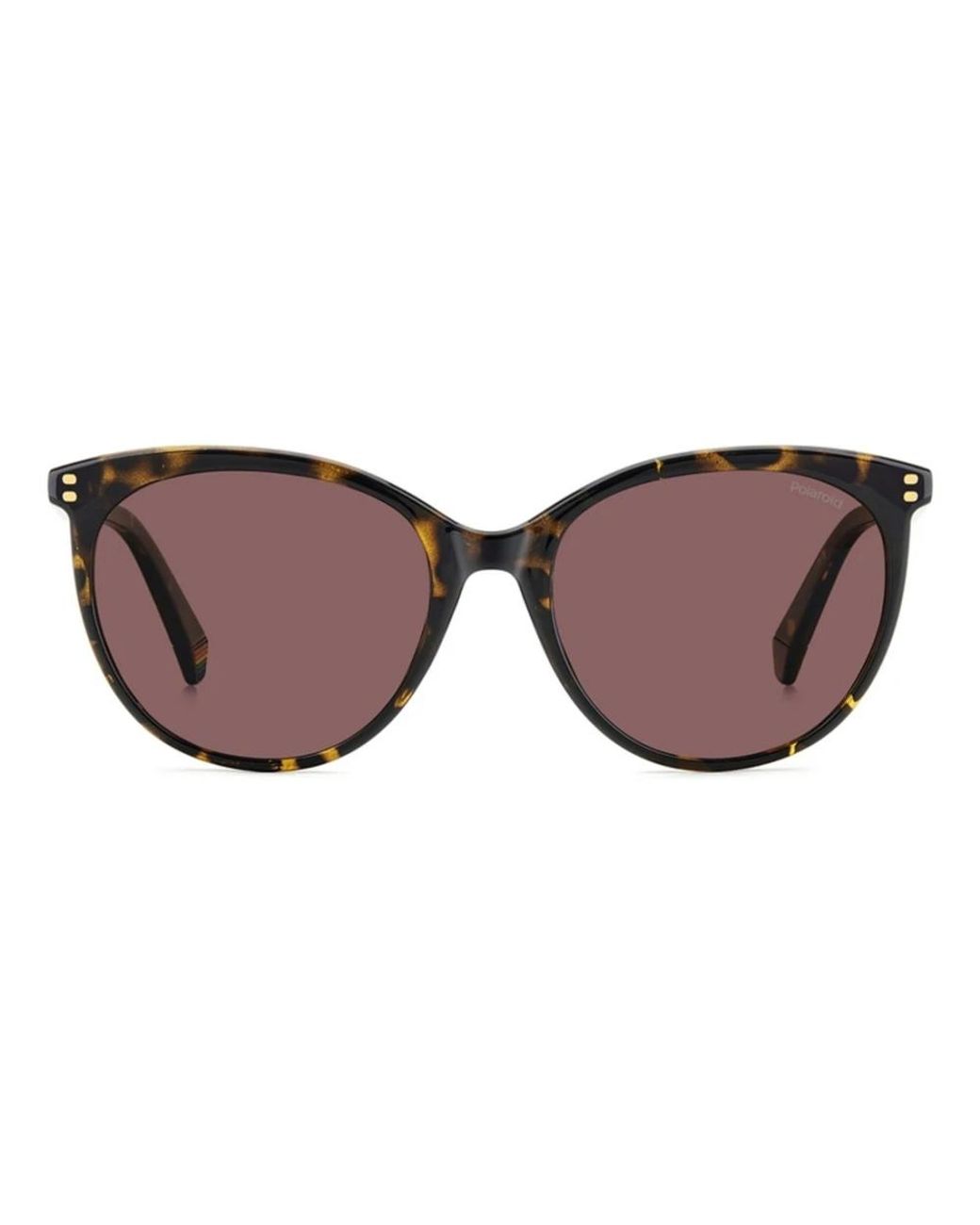 Polaroid Brown Sunglasses