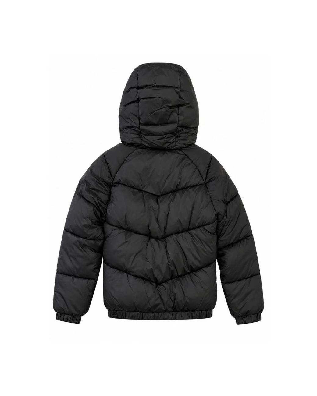 Barrow Black Winter Jackets for men