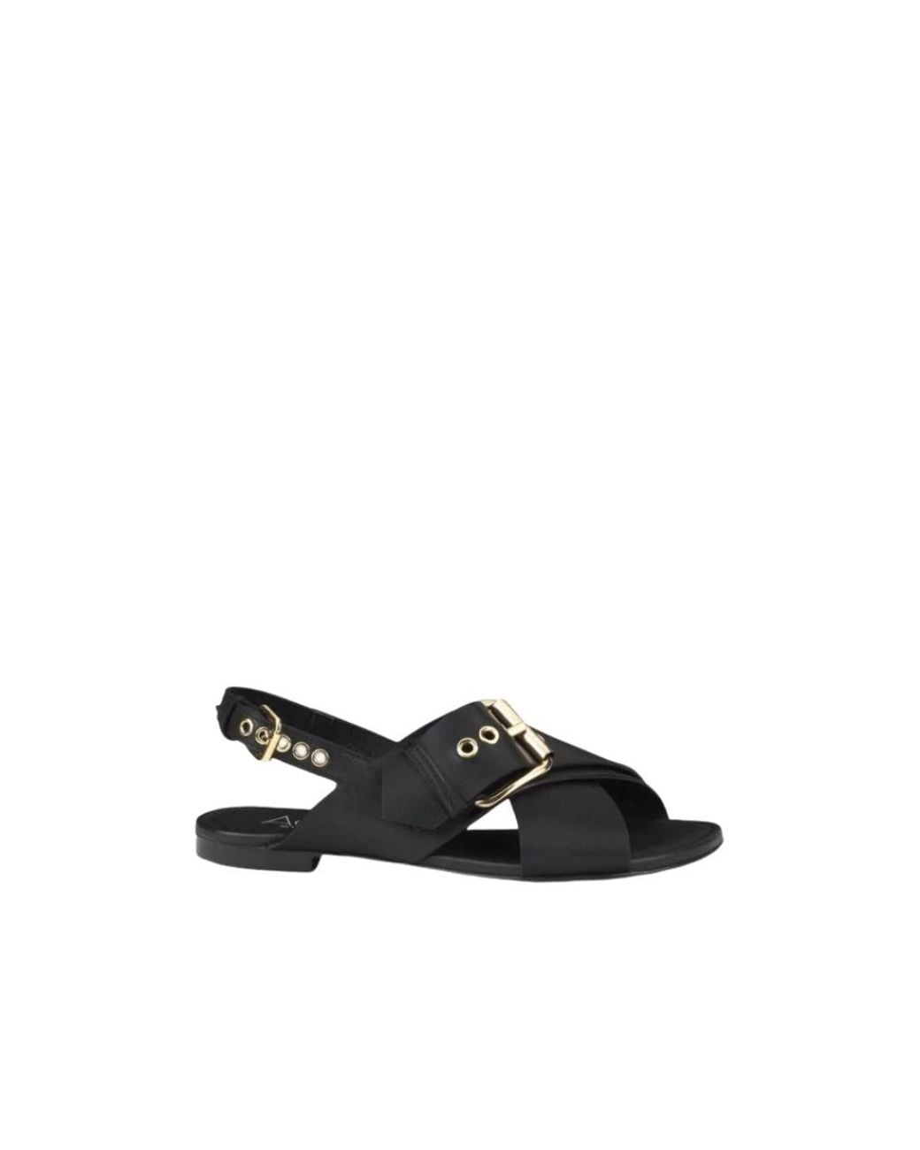 Agl Attilio Giusti Leombruni Black Flat Sandals