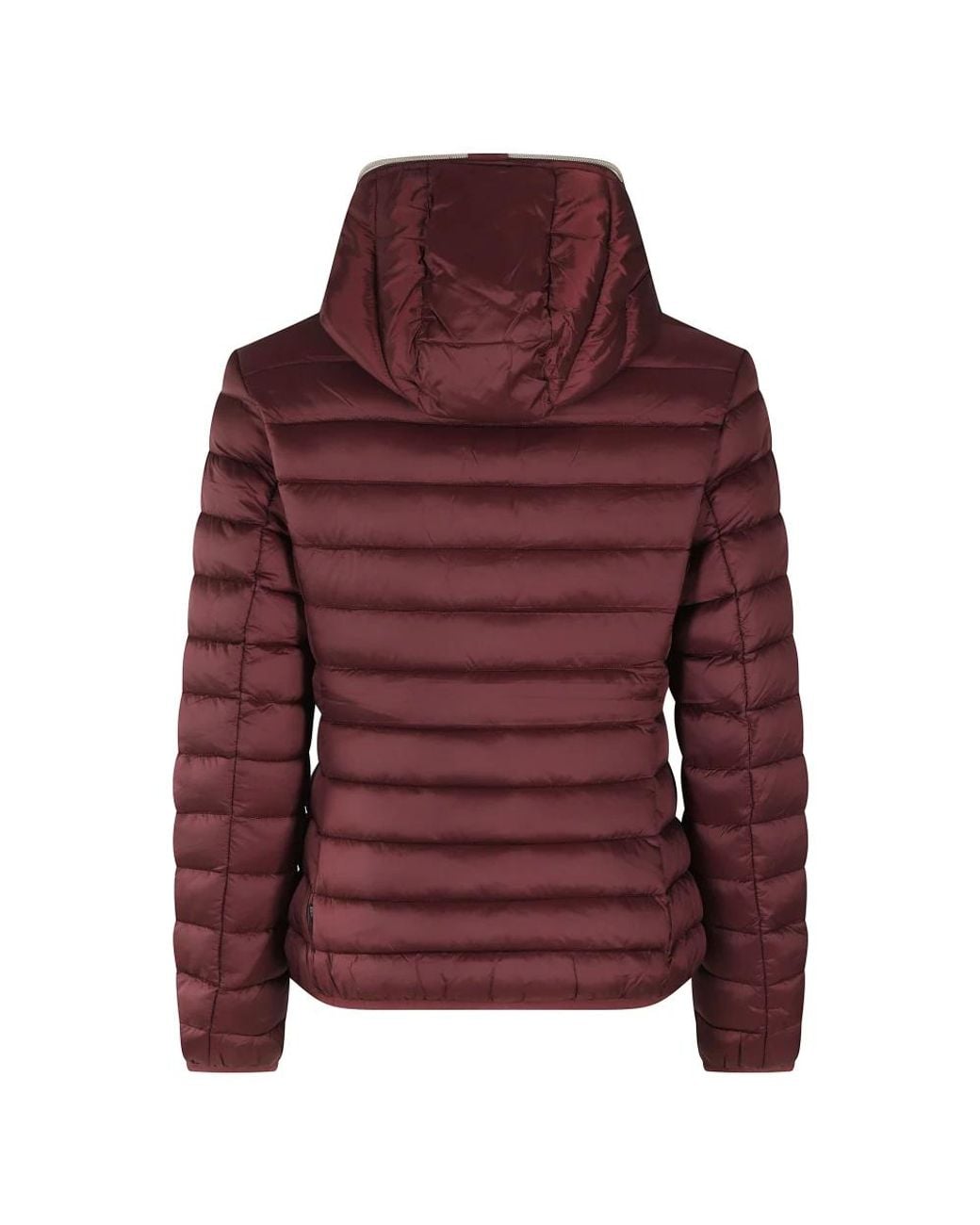 Winter Jackets Save The Duck en coloris Red