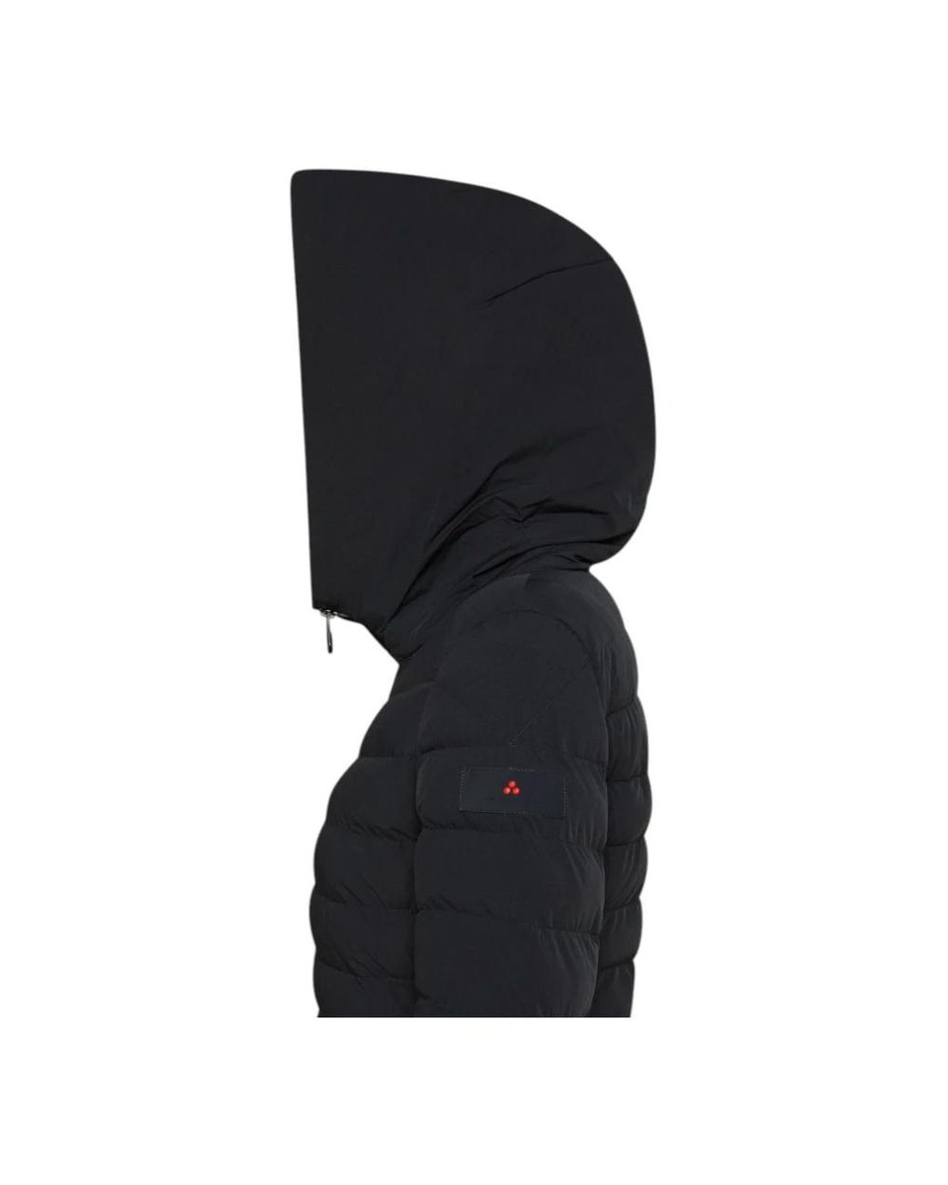 Winter Jackets di Peuterey in Black