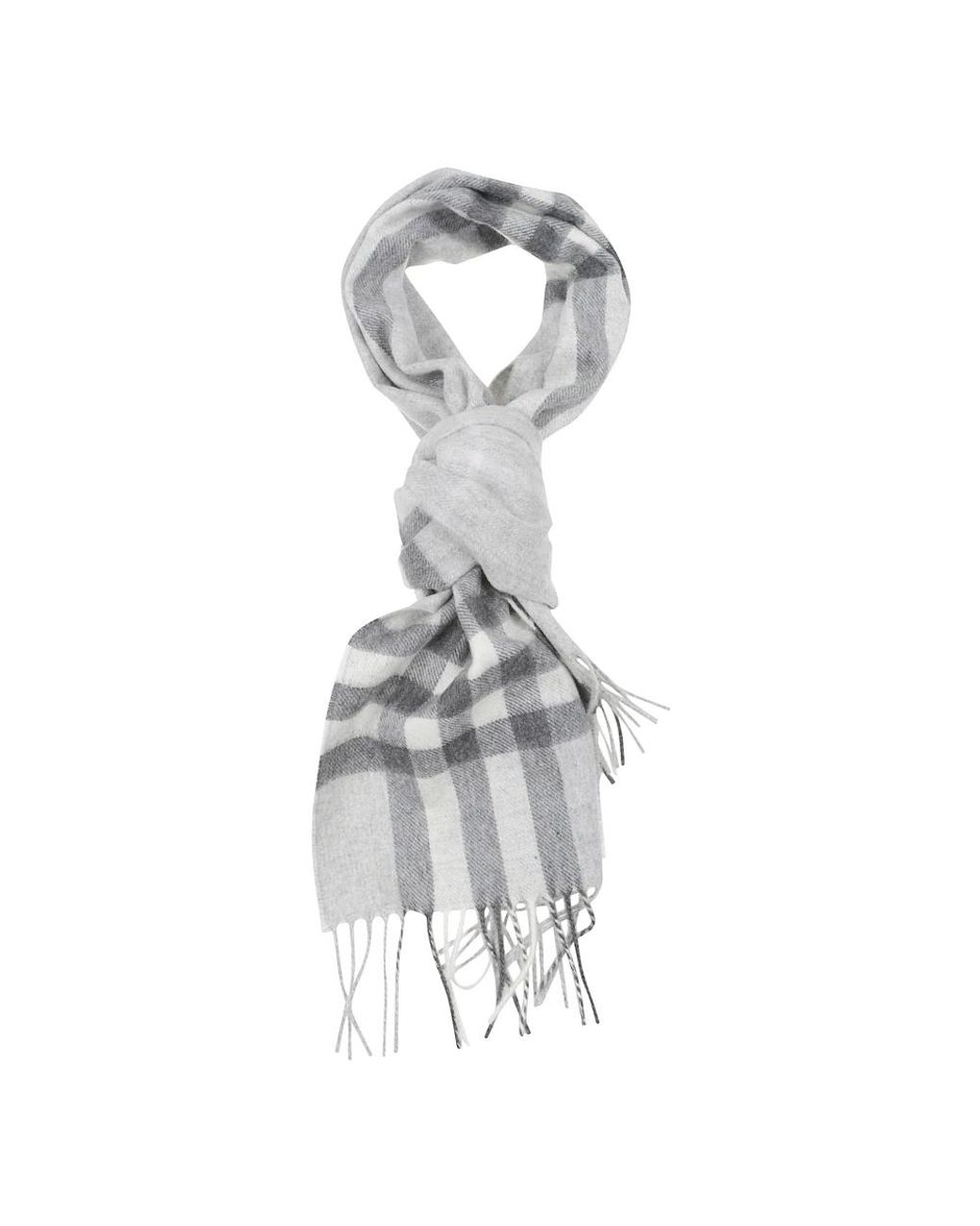 Burberry Metallic Winter Scarves