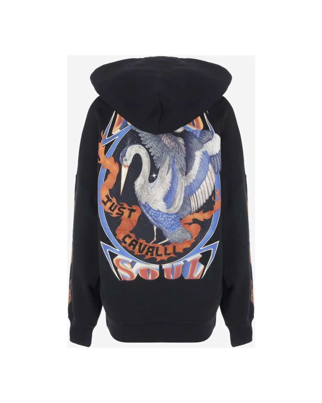 Just Cavalli Blue Hoodies