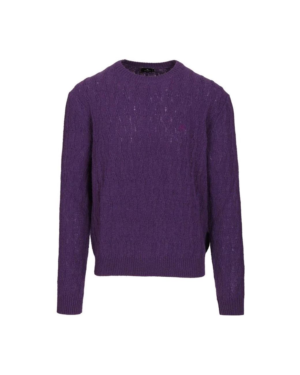 Etro Purple Round-Neck Knitwear for men