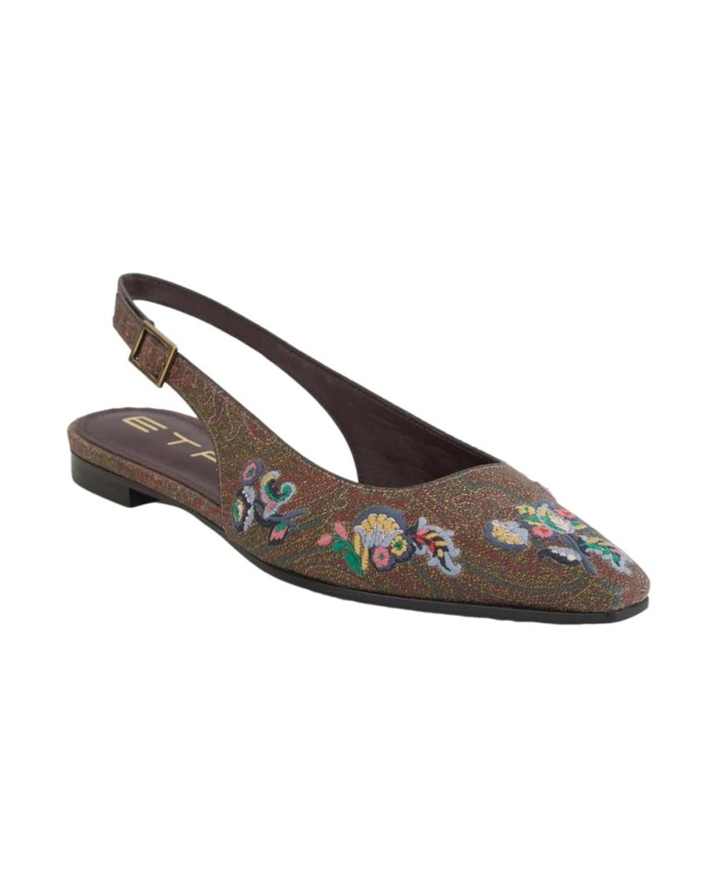 Etro Brown Ballerinas