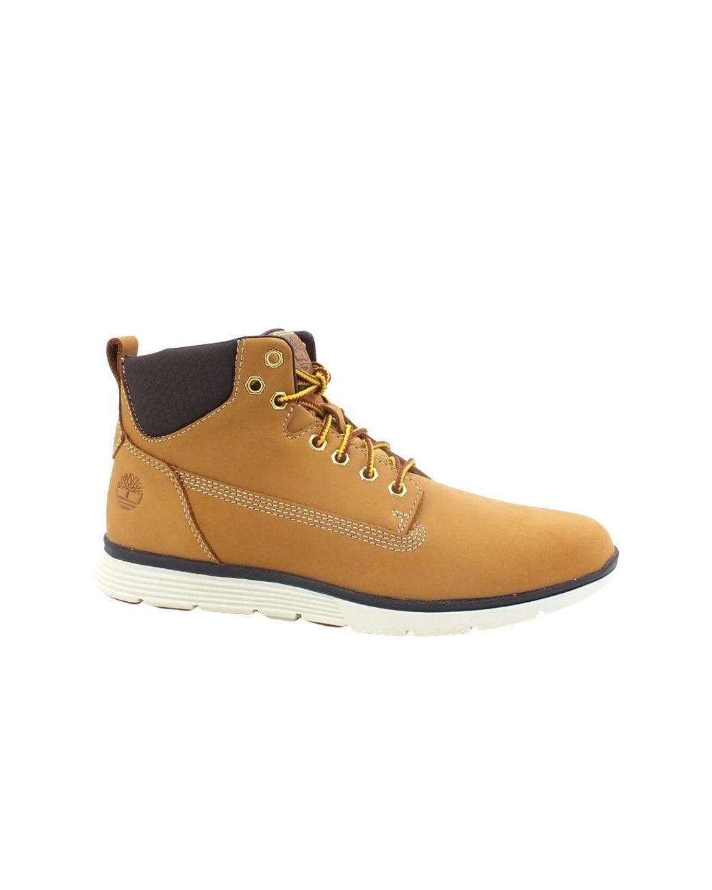 Timberland Brown Lace-Up Boots for men