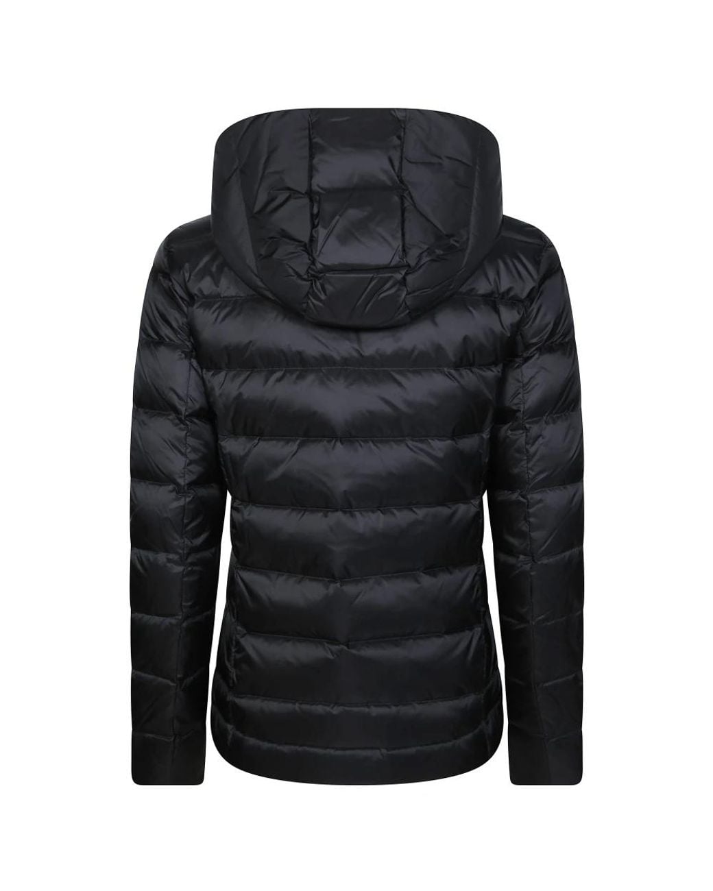 Down Jackets Blauer de color Black