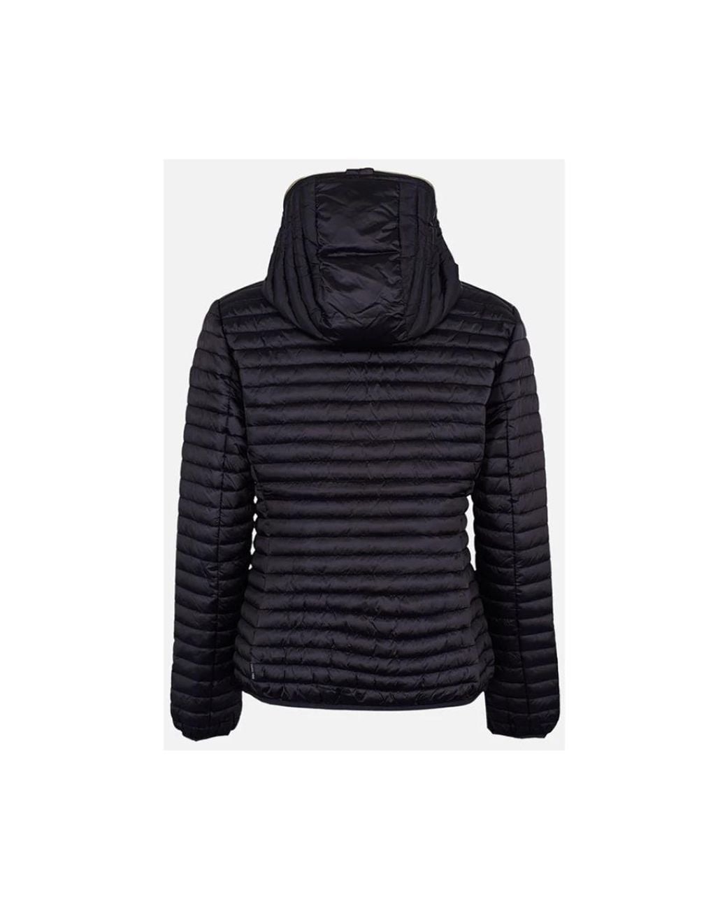 Save The Duck Blue Winter Jackets