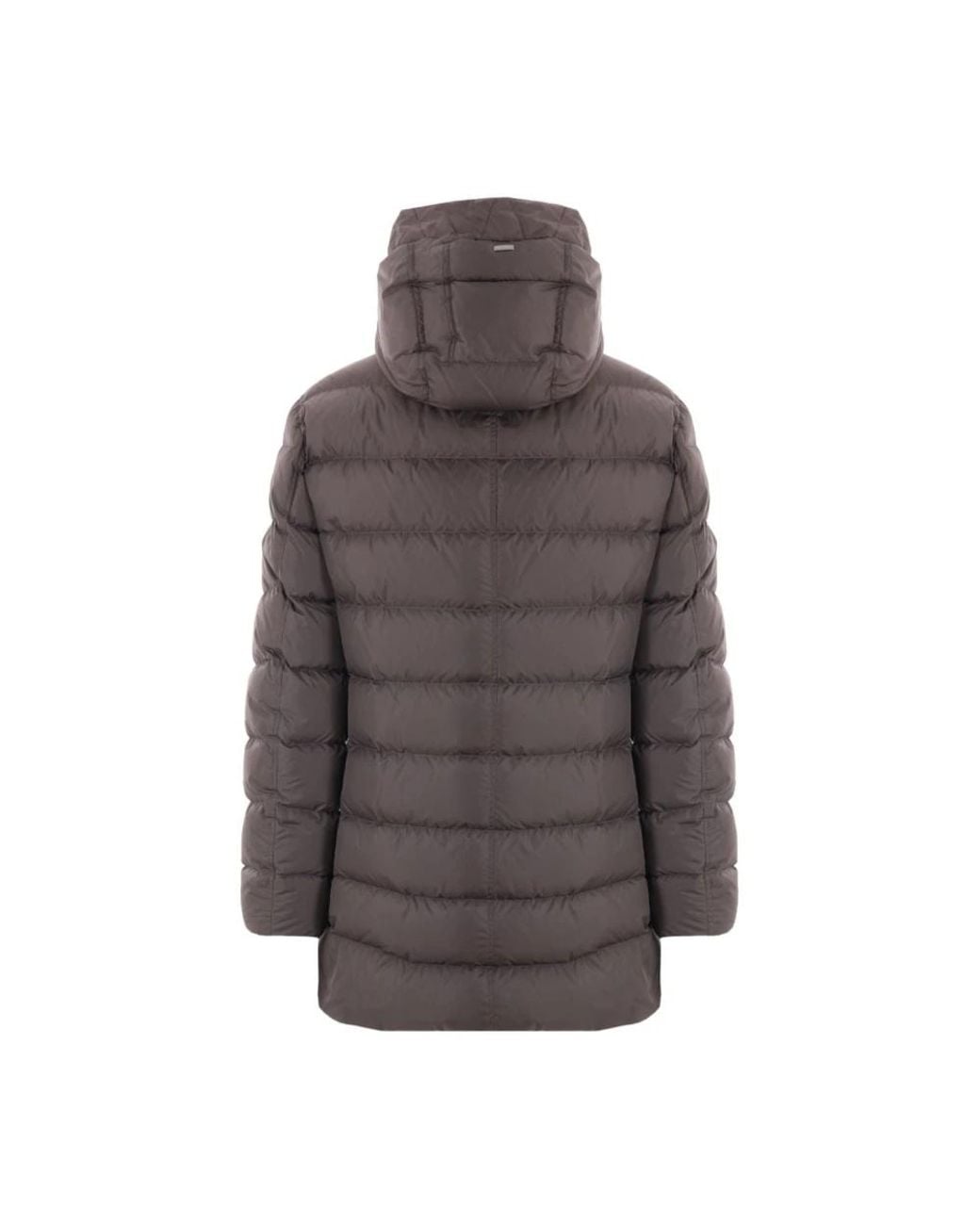Down Jackets Herno de hombre de color Brown