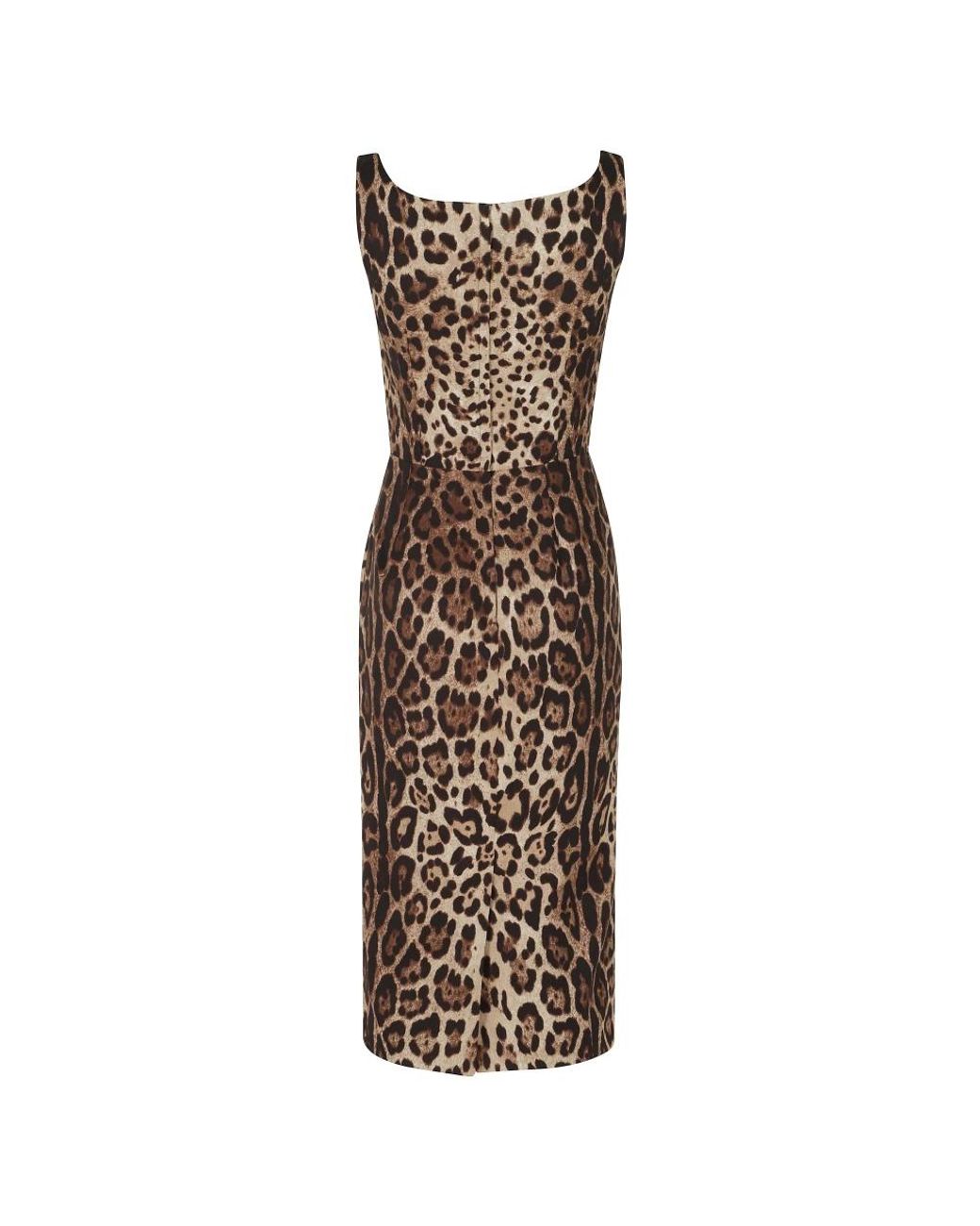 Dolce & Gabbana Brown Midi Dresses