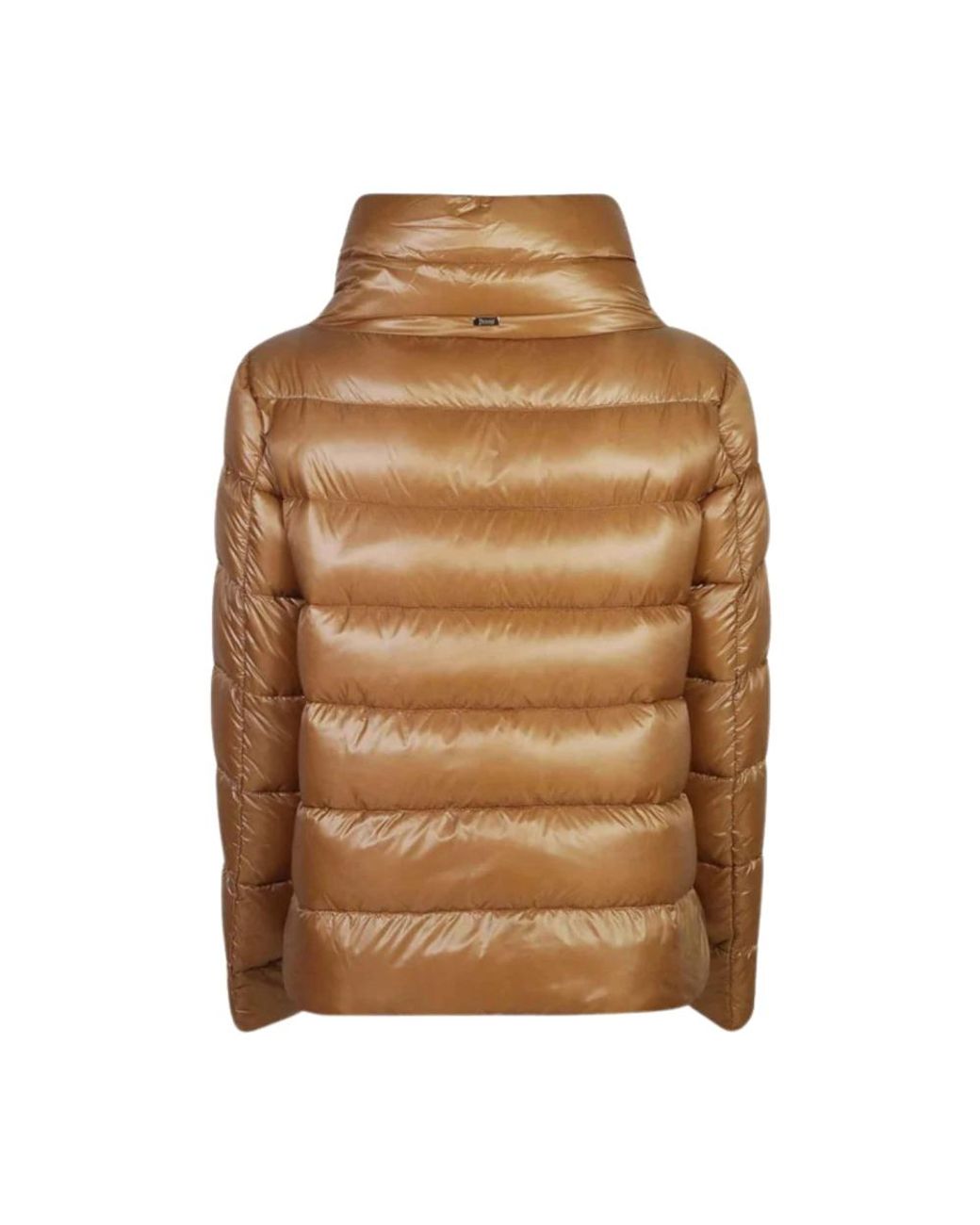 Jackets > down jackets Herno en coloris Brown