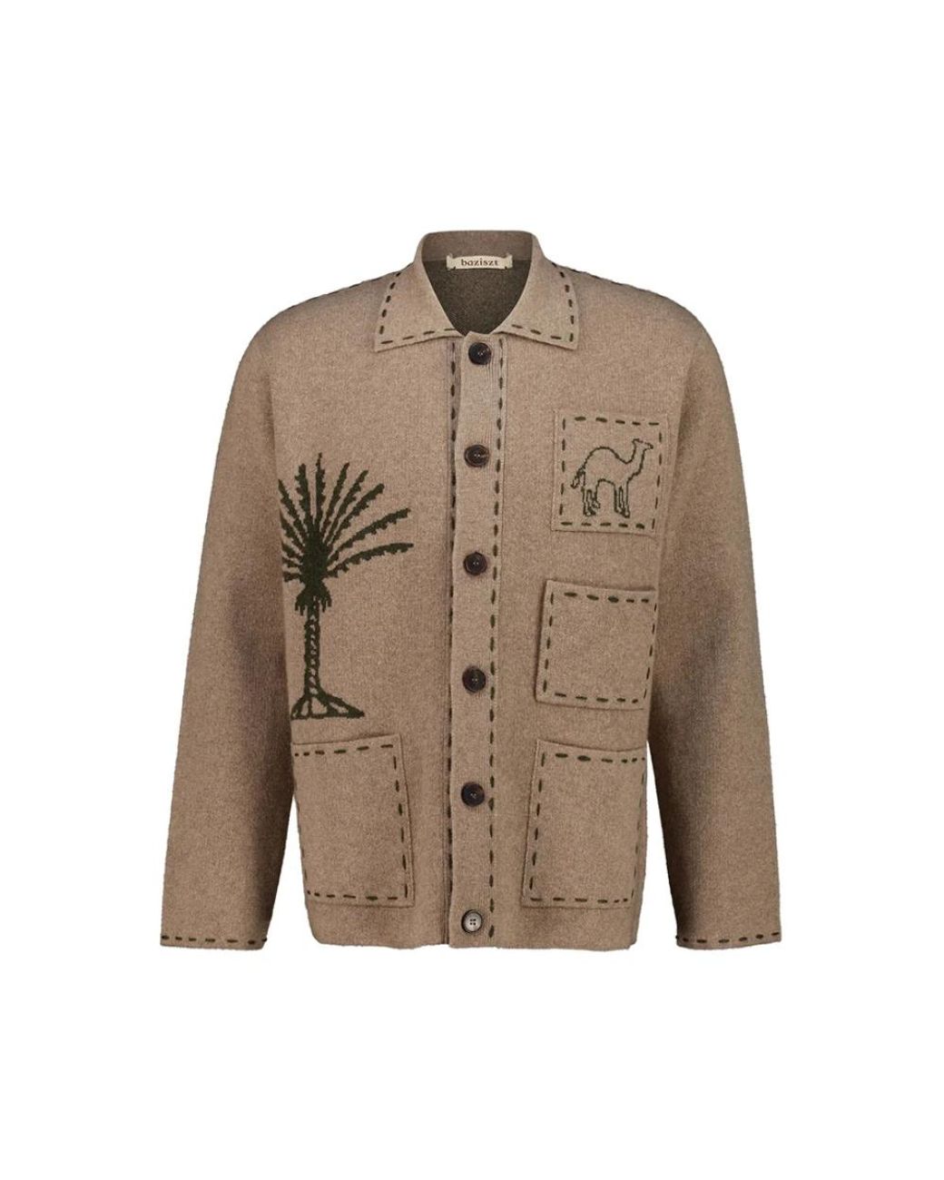 BAZISZT Brown Cashmere Knitwear for men