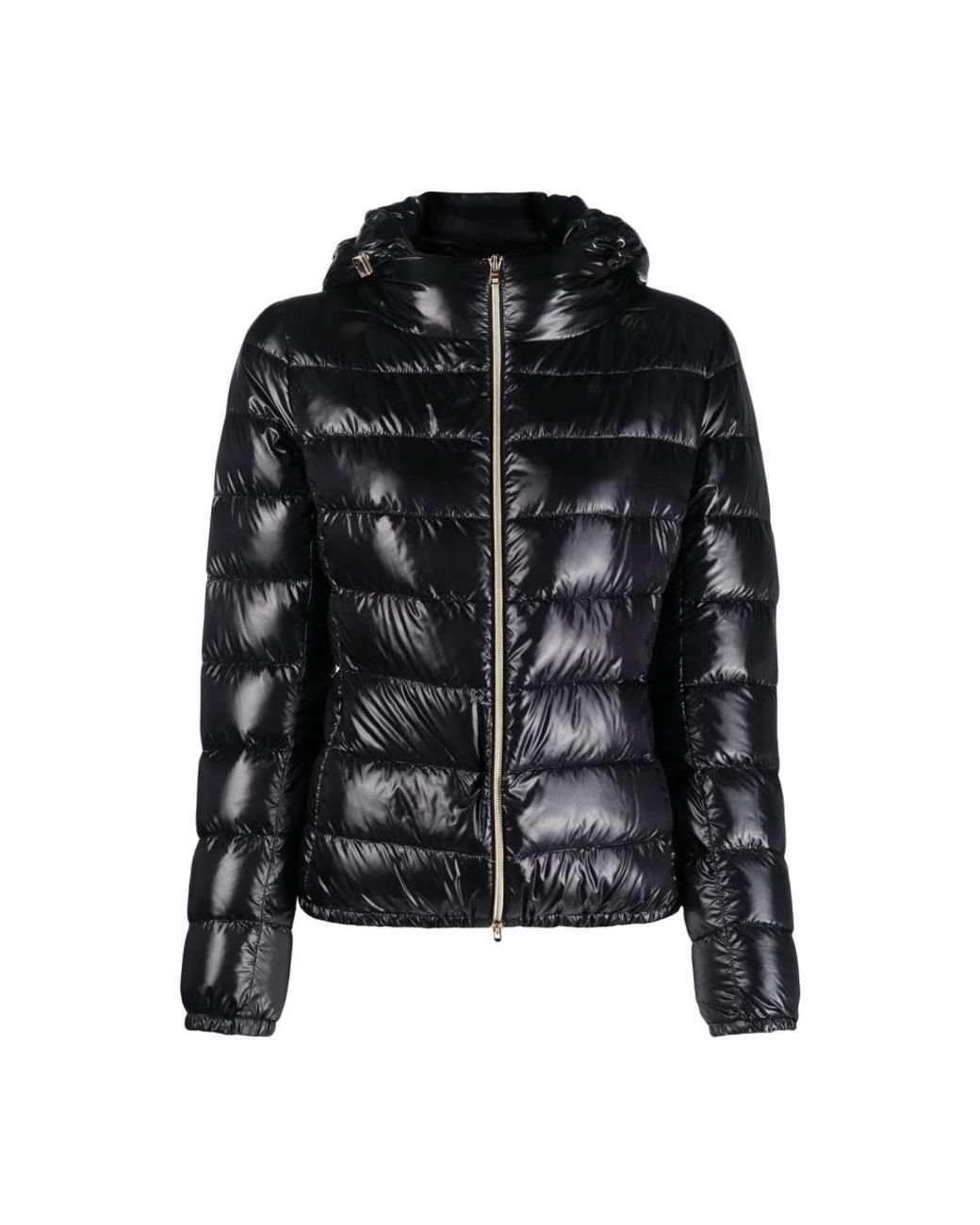 Down Jackets Herno en coloris Black