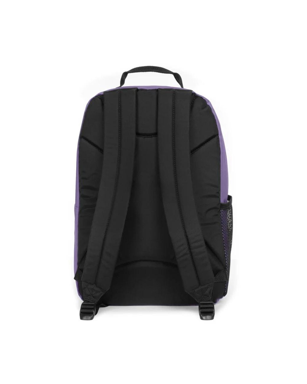 Backpacks di Eastpak in Purple