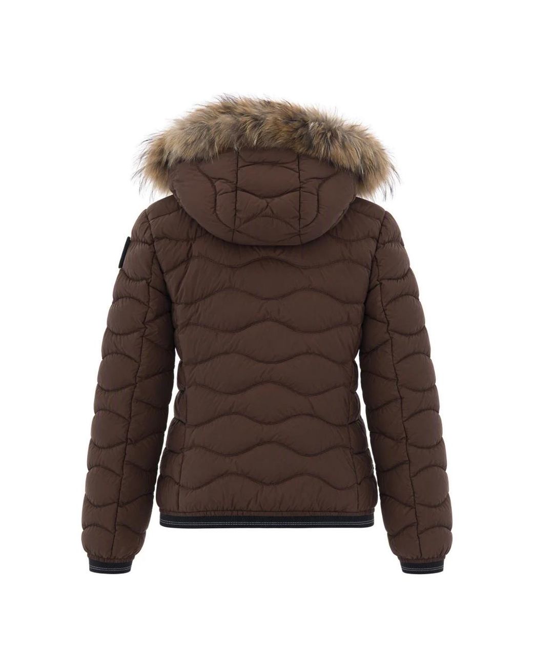 Winter Jackets di Blauer in Brown