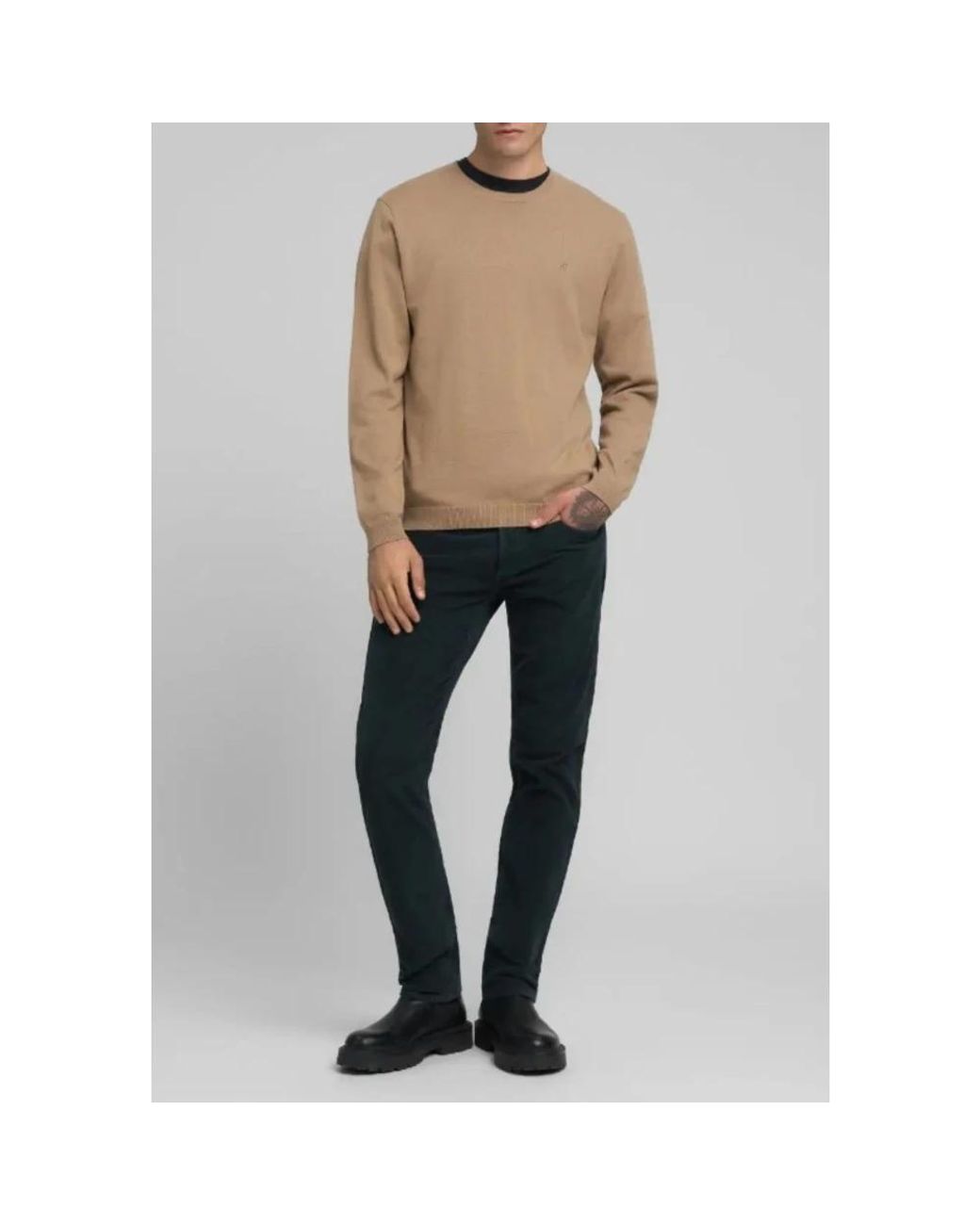 Replay Truien & Vesten ,Katoen Ronde Hals Pullover in het Natural voor heren